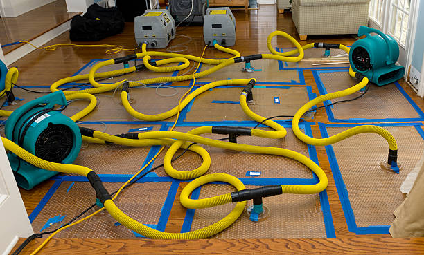 Professional Water Extraction technician working in Albany, LA